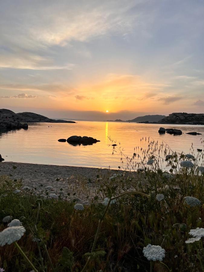 Ferienwohnung Il Maestrale La Maddalena  Exterior foto